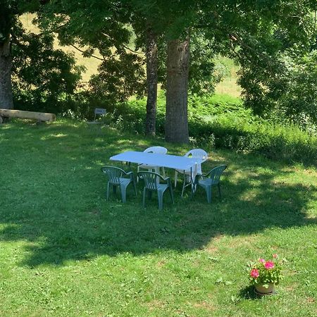 Ferme Au Calme A 15Mn Du Chambon Sur Lignon Villa Saint-Jeures Buitenkant foto